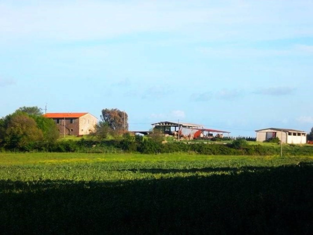 Azienda Agricola in vendita a Gavorrano