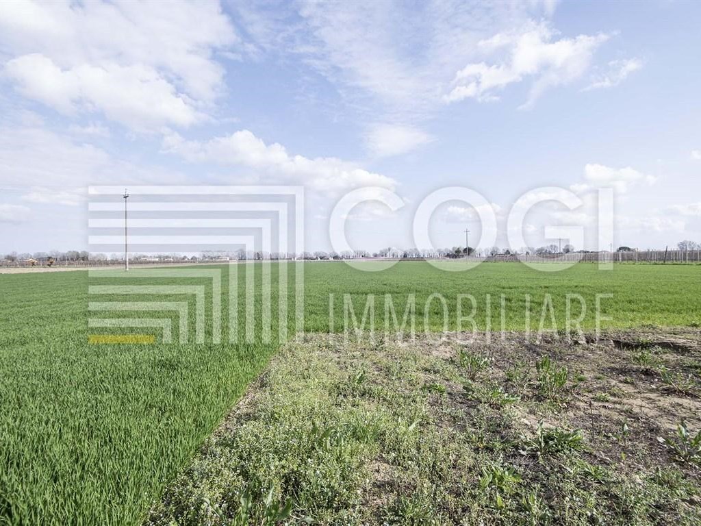Terreno Agricolo in vendita a Bagnacavallo via abbadesse 14