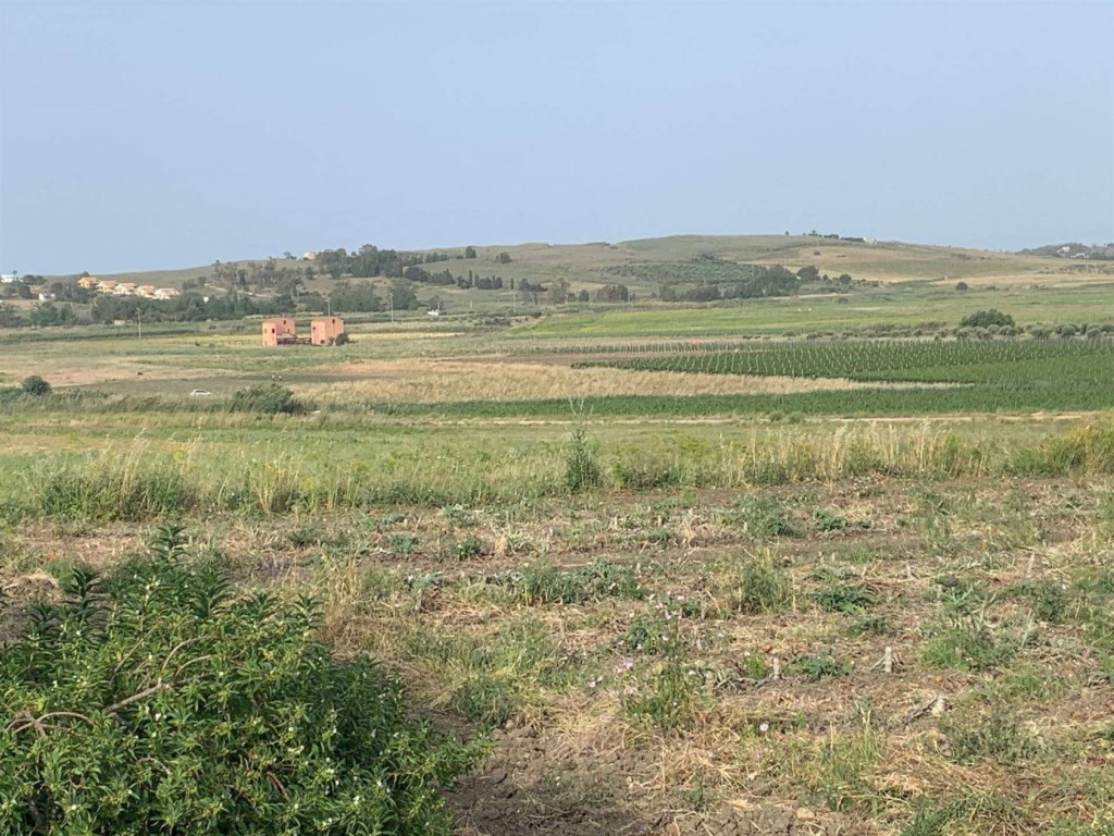 Terreno Agricolo in vendita a Menfi c.Da Torrenova
