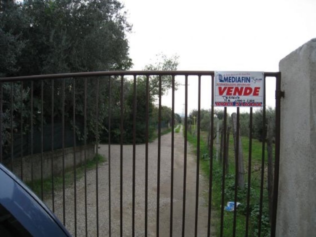 Terreno Agricolo in vendita a Corigliano-Rossano oliveto longo