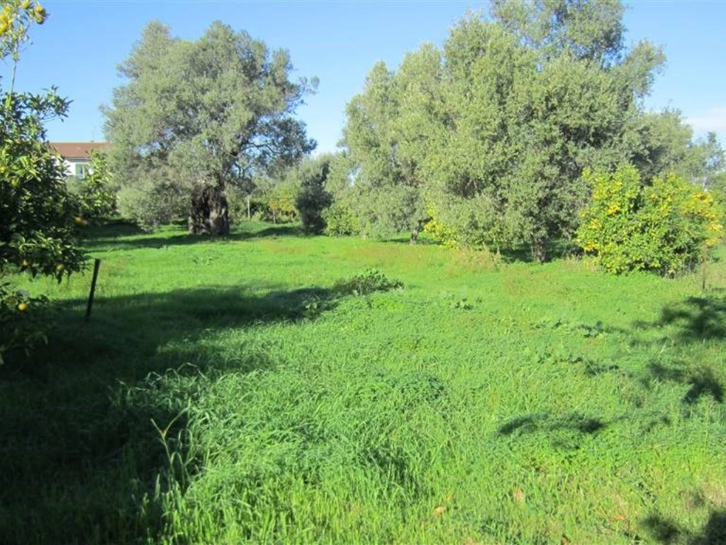 Terreno Edificabile in vendita a Crosia via kennedy