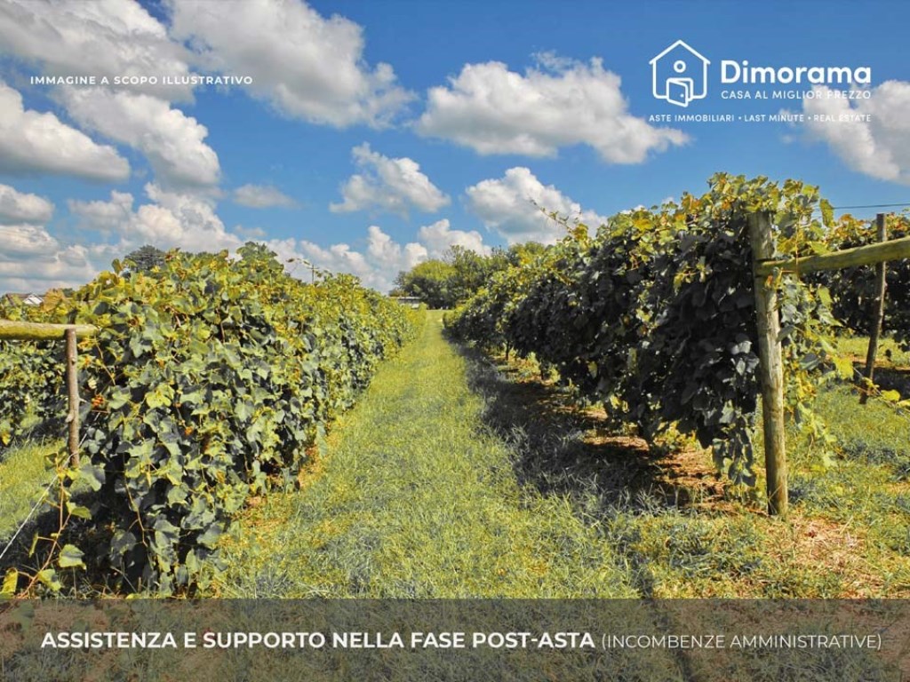 Terreno Edificabile in vendita a Trani strada Vicinale Monte d'Alba