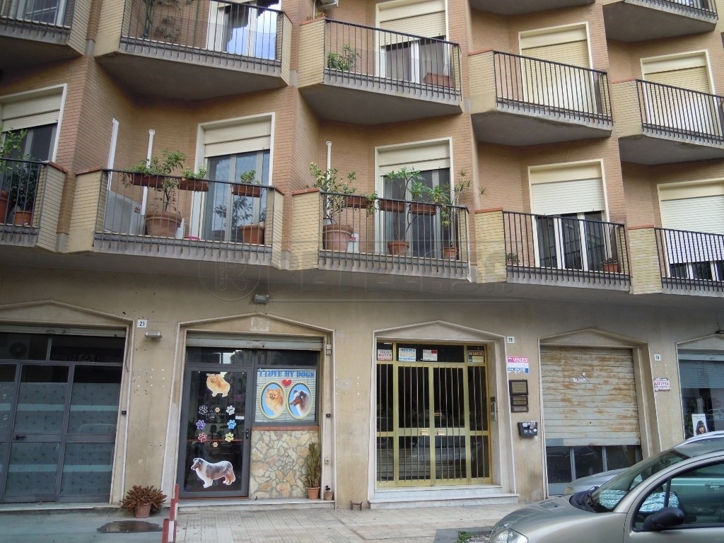 Appartamento in affitto a Caltanissetta piazza trento , 19