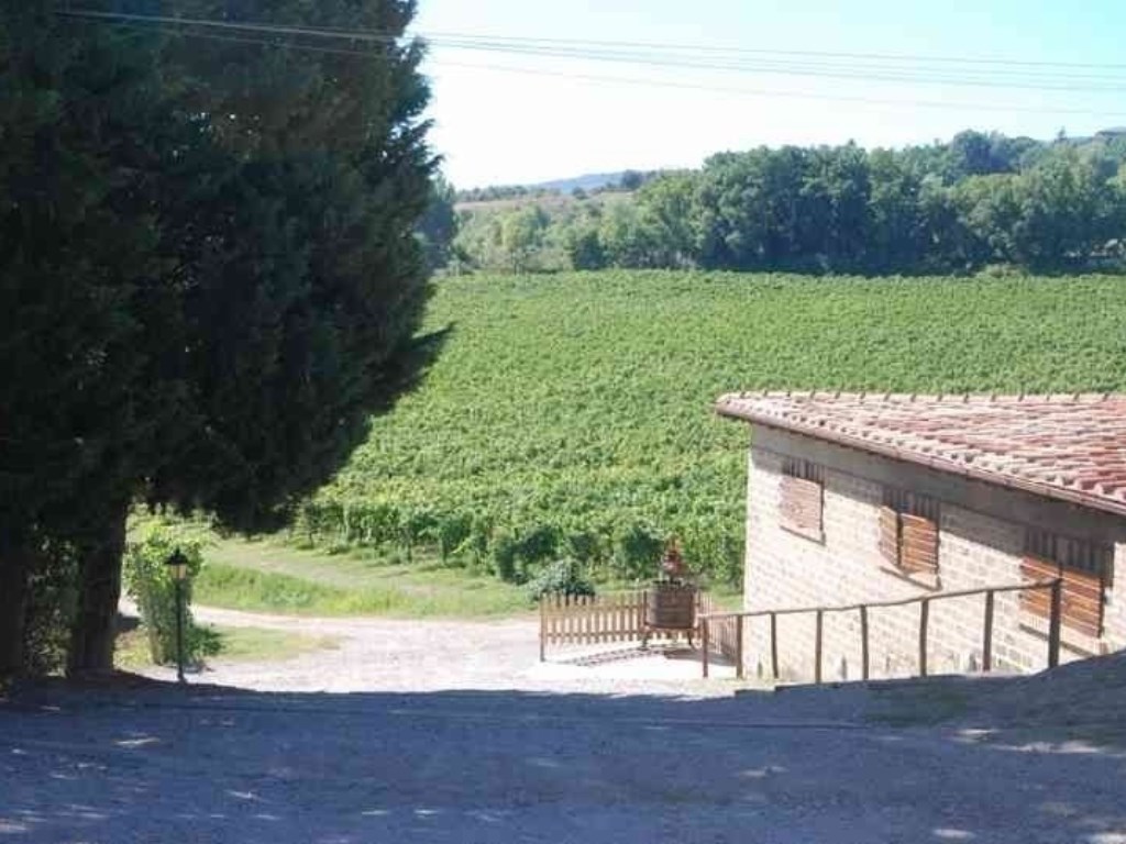 Azienda Agricola in vendita a Pienza via Fontanelle,
