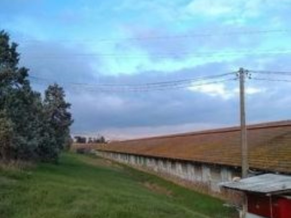 Capannone Industriale in in vendita da privato a Savignano sul Rubicone via Sogliano