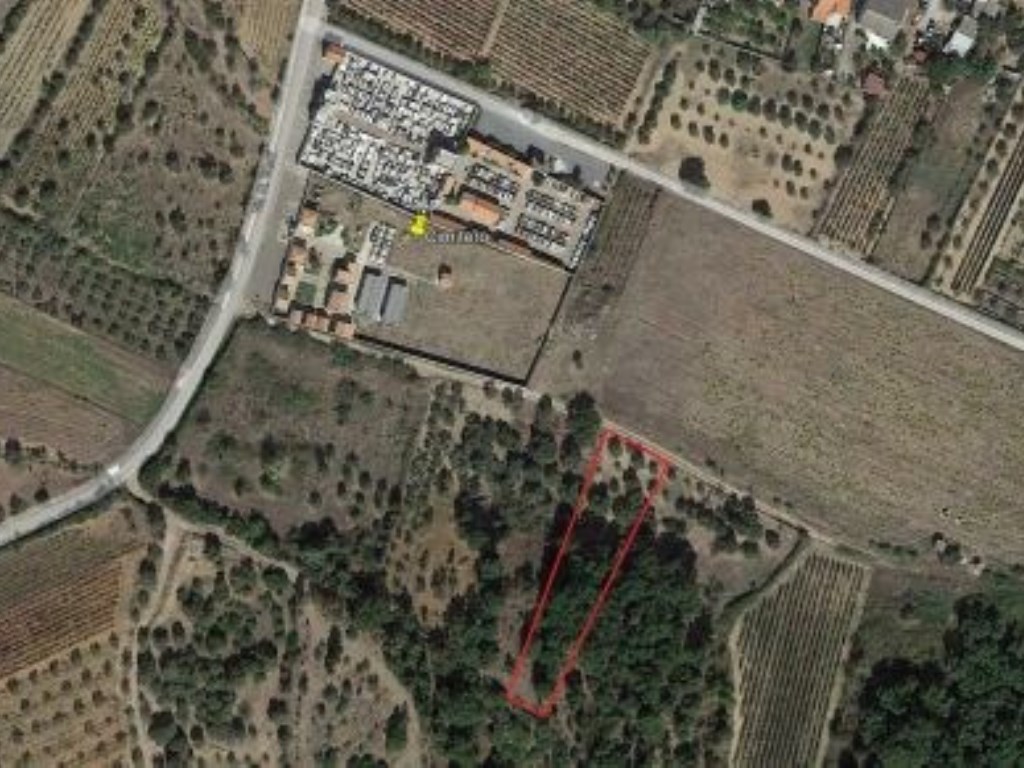 Terreno Agricolo in vendita a Nuxis via Giuseppe Verdi, 13