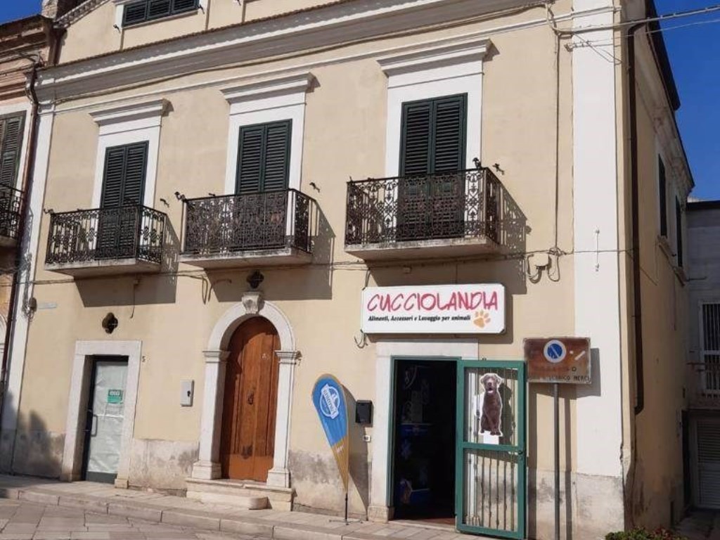 Casa Indipendente in in vendita da privato a San Paolo di Civitate piazza Aldo Moro, 7